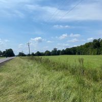 LA - Franklin 36.80 acres - images 4