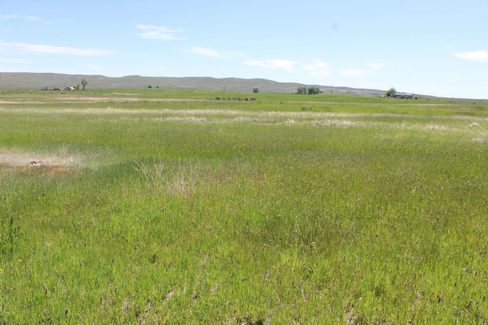 V-1 40.65 acres featured image