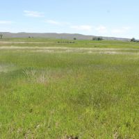 V-1 40.65 acres