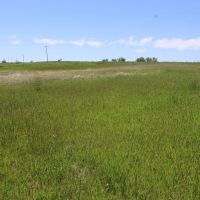 V-1 40.65 acres images 3