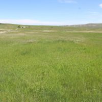 V-1 40.65 acres images 4
