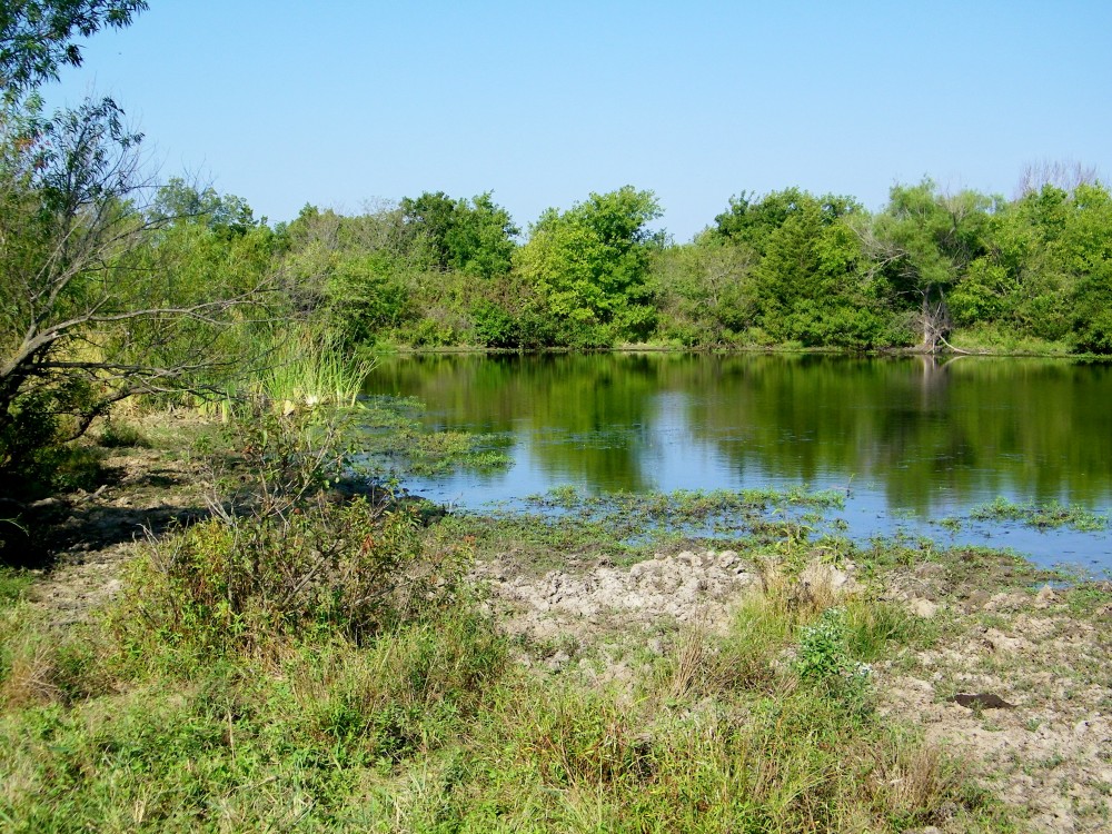 120 Acre Pasture Hunting Land in Pawnee County featured image