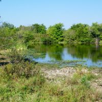 120 Acre Pasture Hunting Land in Pawnee County images 1