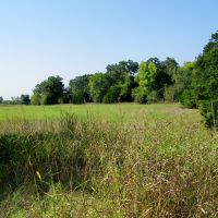 120 Acre Pasture Hunting Land in Pawnee County images 2