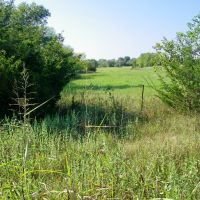 120 Acre Pasture Hunting Land in Pawnee County images 3