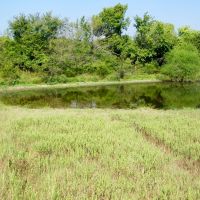 120 Acre Pasture Hunting Land in Pawnee County images 4