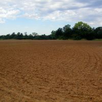 160 Acre with Tillable and Hunting in Garfield County