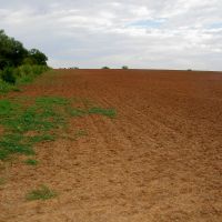 160 Acre with Tillable and Hunting in Garfield County images 3