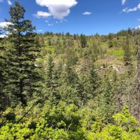 San Isabel National Forest Camp images 1