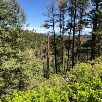 San Isabel National Forest Camp images 2