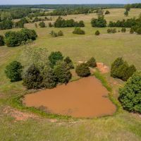 80 - Acres Cattle Farm Fenced Cross Fenced Franklin AR Izard Co images 2