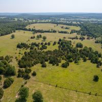 80 - Acres Cattle Farm Fenced Cross Fenced Franklin AR Izard Co images 4