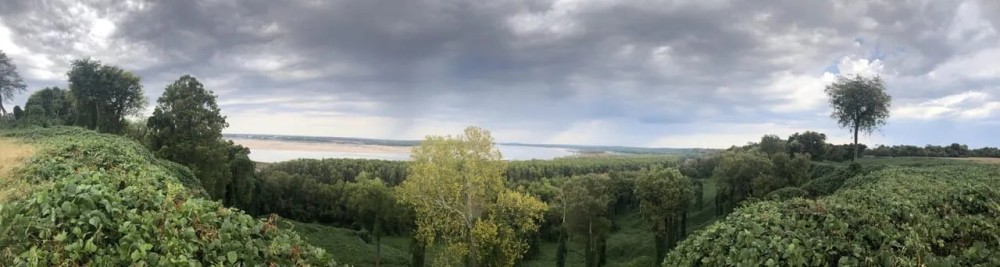 Chickasaw Bluff featured image