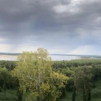 Chickasaw Bluff