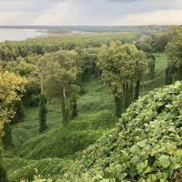 Chickasaw Bluff images 4