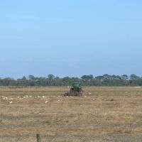 Marsh Ranch - Rangeland Reserve images 2