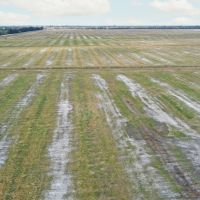 Marsh Ranch - Rangeland Reserve images 3