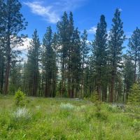 Antelope Mountain Property images 3