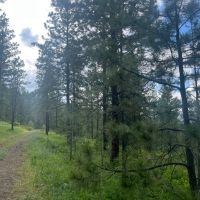 Antelope Mountain Property images 4