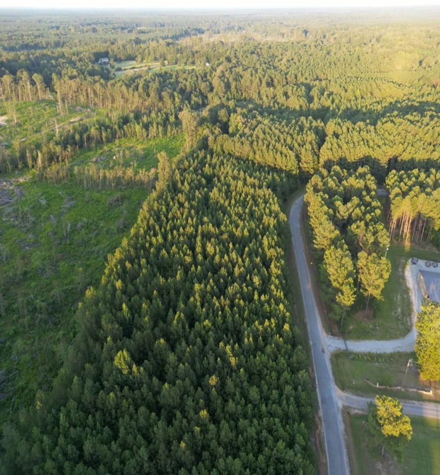 50 Acres in Oktibbeha County in Bradley MS Hunting Land for Sale