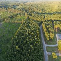 50 Acres in Oktibbeha County in Bradley MS