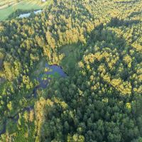 50 Acres in Oktibbeha County in Bradley MS images 2