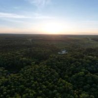 50 Acres in Oktibbeha County in Bradley MS images 3