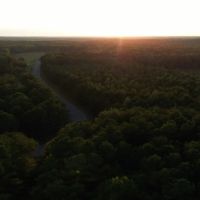 50 Acres in Oktibbeha County in Bradley MS images 4