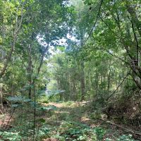 38 Acres Washington Parish