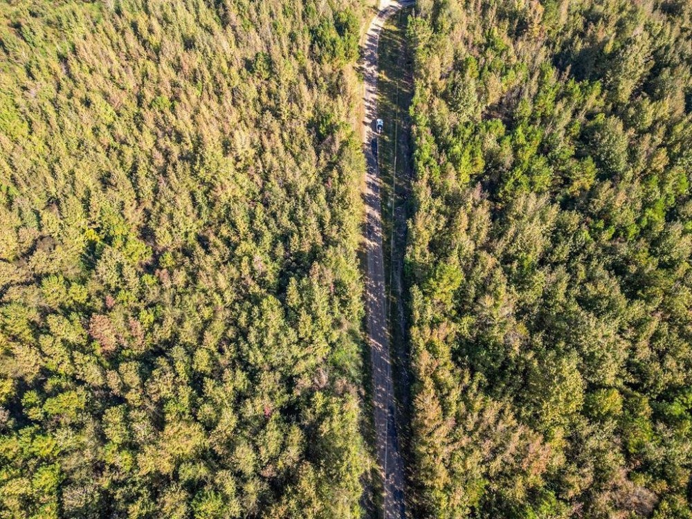 38 Acres - Small Land for Sale in Copiah County MS featured image