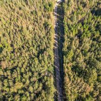38 Acres - Small Land for Sale in Copiah County MS