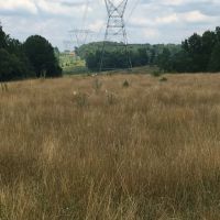 - 25.63 acres Open pasture public water and public sewer are available images 4
