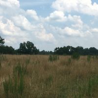 - 25.63 acres Open pasture public water and public sewer are available images 5