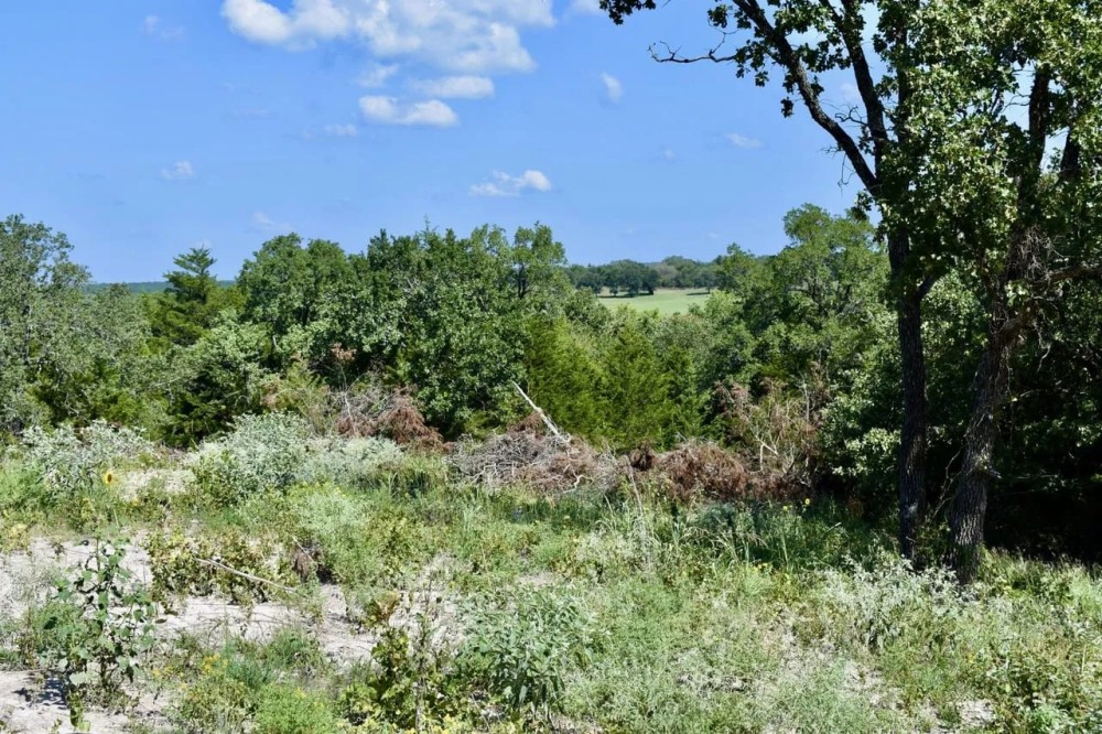 1217 Mallard Rd Montague Tx. featured image