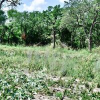 1217 Mallard Rd Montague Tx. images 3