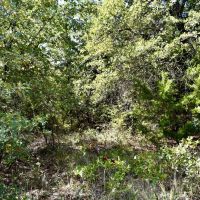1217 Mallard Rd Montague Tx. images 5