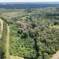 29.31 Acres of Rolling Hills Land for Sale in North Pike MS images 2