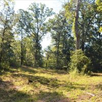 29.31 Acres of Rolling Hills Land for Sale in North Pike MS images 4