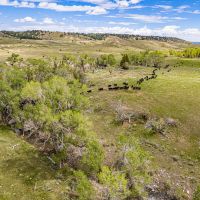Coyote Creek Ranch images 2