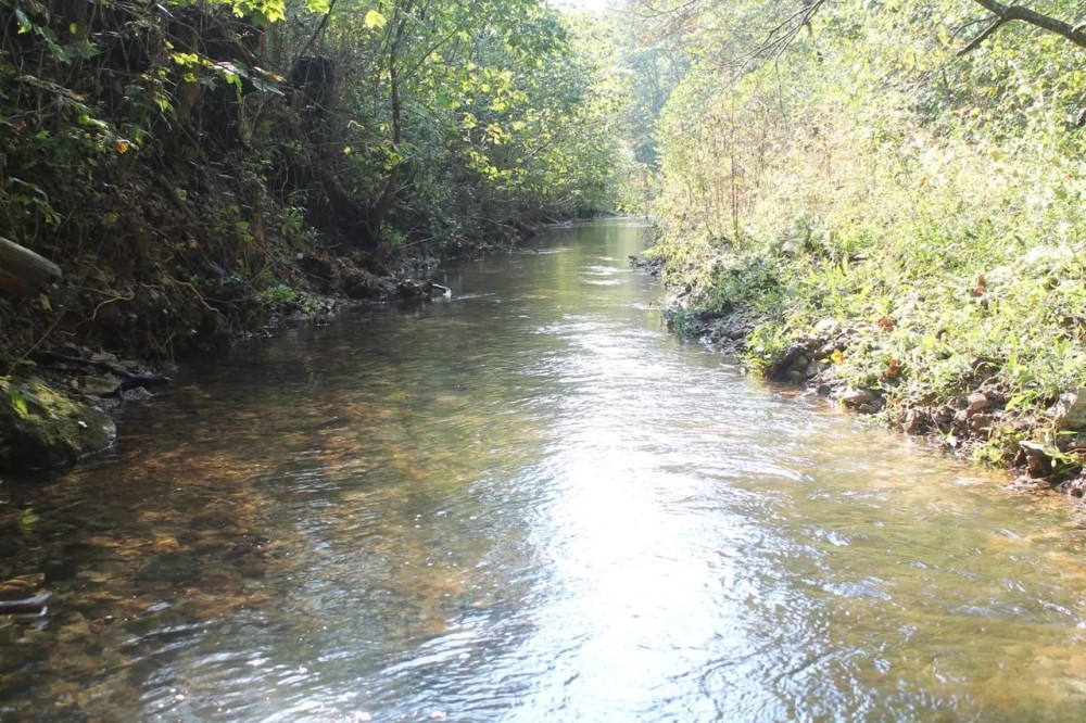 58.95 surveyed acres located in Jackson County Tennessee featured image