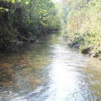 58.95 surveyed acres located in Jackson County Tennessee