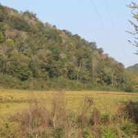 58.95 surveyed acres located in Jackson County Tennessee images 2