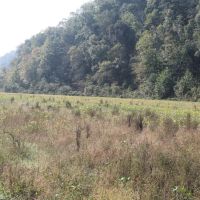 58.95 surveyed acres located in Jackson County Tennessee images 3