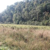 58.95 surveyed acres located in Jackson County Tennessee images 4