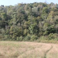58.95 surveyed acres located in Jackson County Tennessee images 5