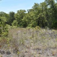 1799 CR 416 Saint Jo Tx images 3