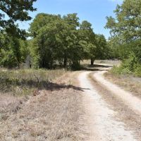 1799 CR 416 Saint Jo Tx images 4