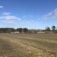 I-16 Interchange Property images 4