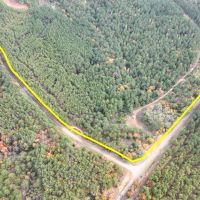 146 Acres CR 2115 Tract 1011