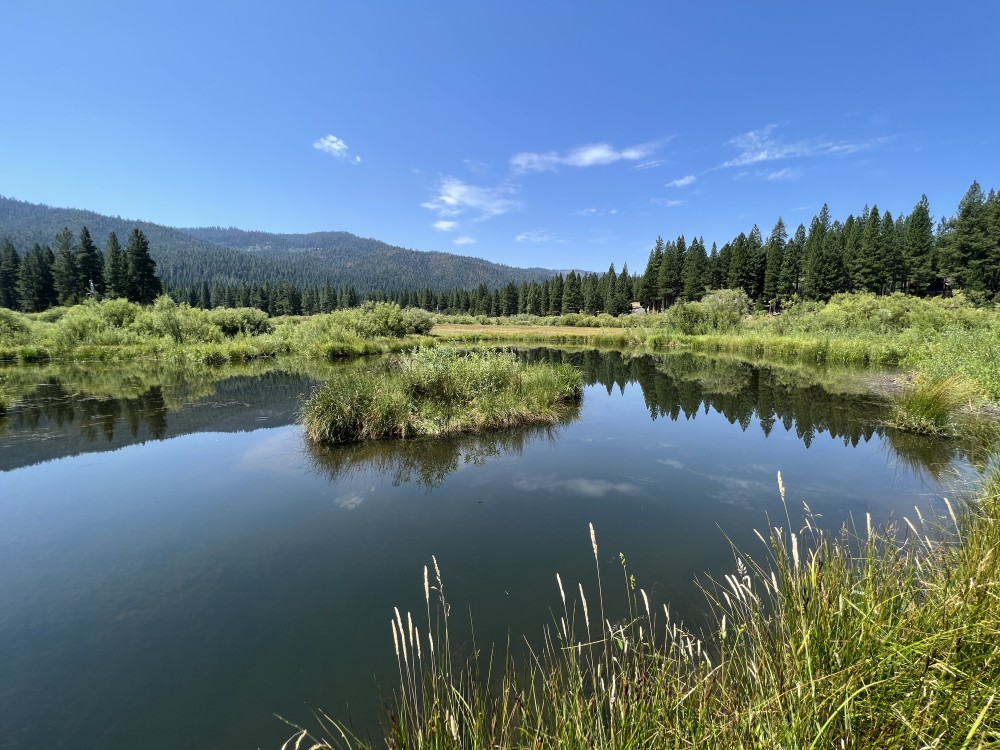 Whitehawk Meadows Ranch featured image